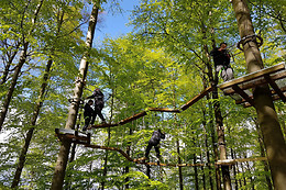 Spa Forest