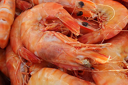 Marisqueira Sotavento