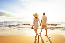 Eco Life Experience - Fuga Perfeita