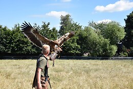 De Valkerij Boerderij
