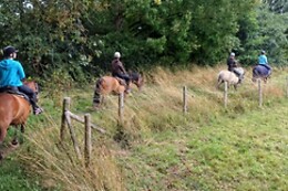 Equi Alliance