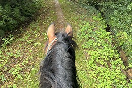 Equi Alliance