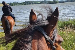Equi Alliance
