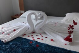 Online Booking EPS