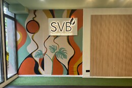 Studio SVB