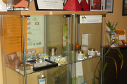CENTRO DE ESTÉTICA VIVIR