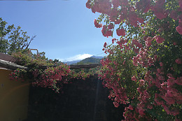 Agriturismo Viola Nel Parco