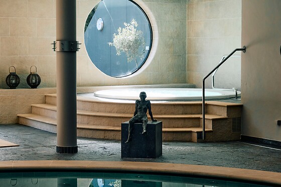 Accès au spa pour 2 chez Saunatopia à Edegem (Anvers)