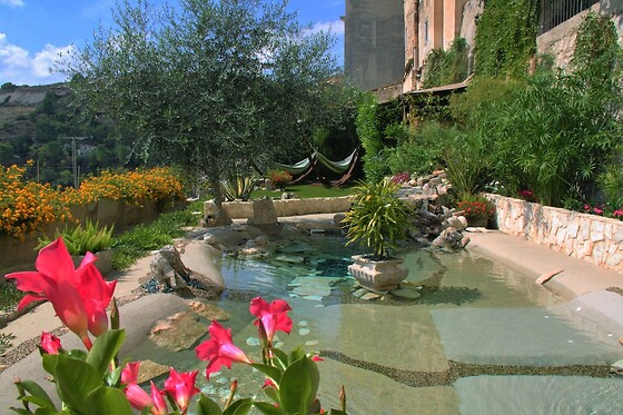 Online Booking EPS - photo 3
