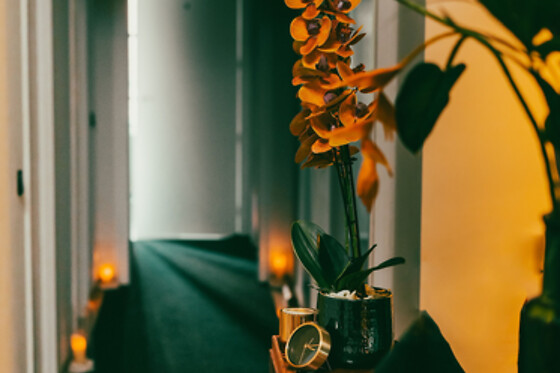 MANDALA WELLNESS - photo 4