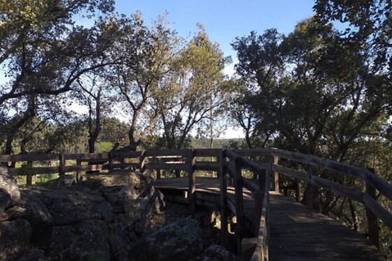Parque de Campismo e Caravanismo de Pedrógão Grande - photo 4