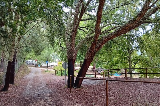 Parque de Campismo e Caravanismo de Pedrógão Grande - photo 13