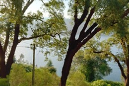 Parque de Campismo e Caravanismo de Pedrógão Grande
