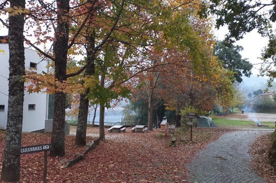 Parque de Campismo e Caravanismo de Pedrógão Grande - photo 15