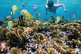 ECO-DIVE