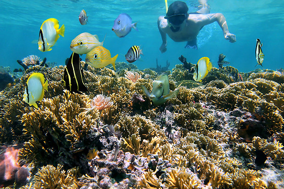 ECO-DIVE - photo 2