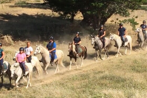 Centre Equestre de Bressuire - photo 4