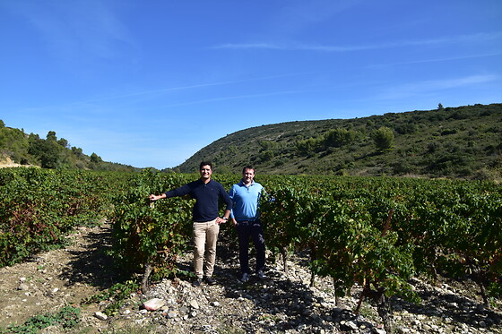 LSDA Vin de France - photo 7