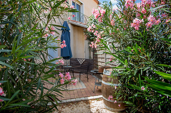 Domaine Vents du Sud - photo 5