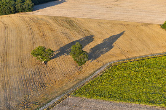 Art Montgolfières - photo 13