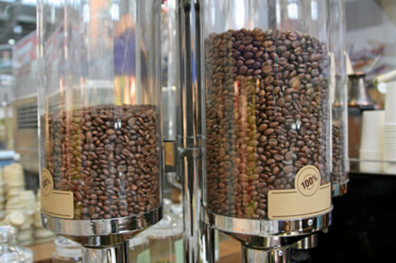 Les Cafés Molina - photo 10