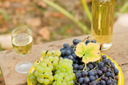 Domaine Brocard