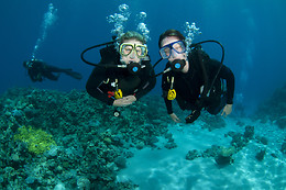 ECO-DIVE