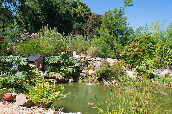 Manoir Desnachez - photo 10