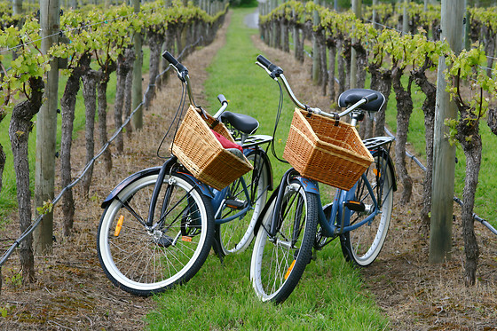 Beaune Velo Tour - photo 4