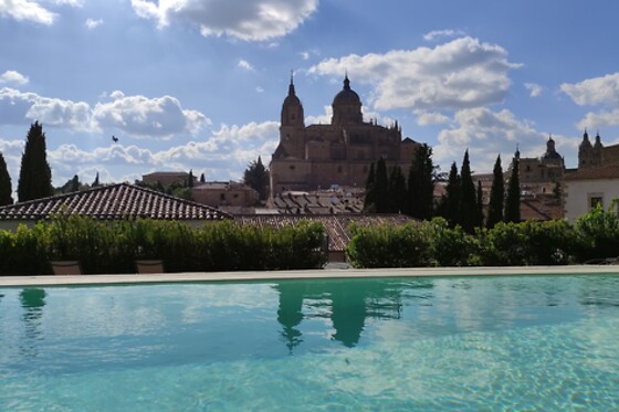 HOSPES PALACIO DE SAN ESTEBAN - photo 0