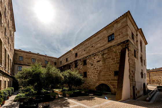 HOSPES PALACIO DE SAN ESTEBAN - photo 8