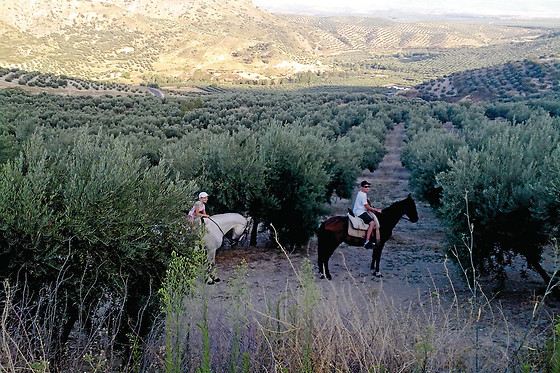LA POSADA DE COLOMERA - photo 8