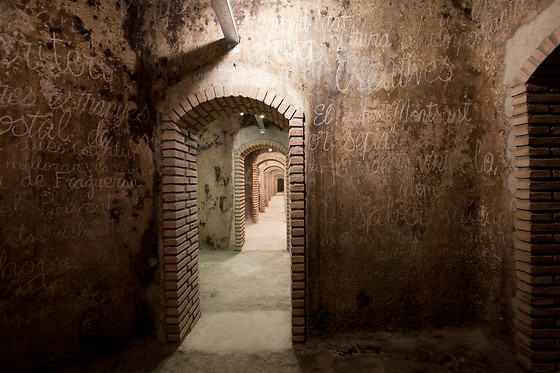 CELLER MASROIG - photo 5