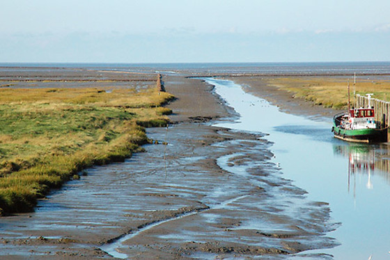 Hotel Waddengenot - photo 5