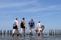 Wadlopen Pieterburen