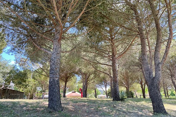 Seasonova camping Ensoya - photo 3