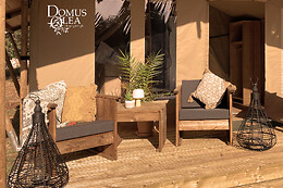 Domus Olea