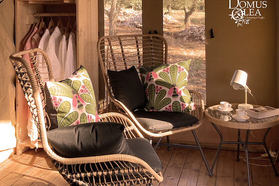 Domus Olea - photo 3