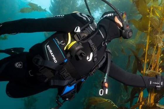 FREEANDIVERS - photo 3