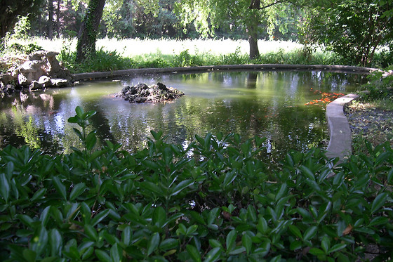 Embarben - photo 10