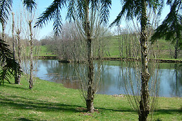 Le Moulin du Pont