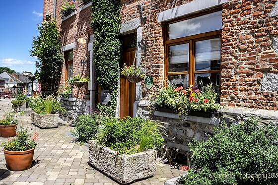 Online Booking EPS - photo 0