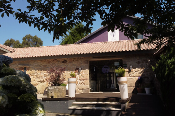 VINOHOTEL 7 UVAS - photo 5