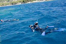 Aquatic Rando
