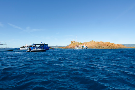 Aquatic Rando - photo 6