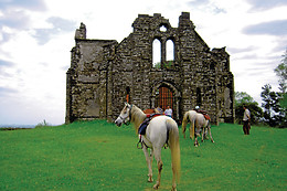 Ferme Equestre Des Ribières