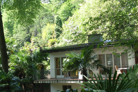 Hotel Collinetta Ascona*** - photo 10