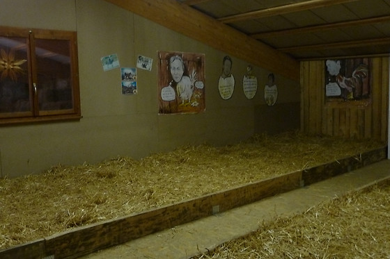 Gentinetta Pferde - photo 13