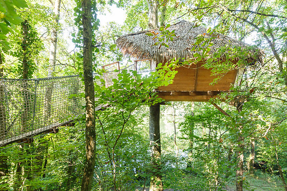 Domaine des Vaulx - photo 7
