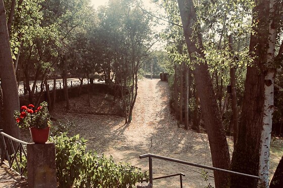 Quinta da Mata - photo 12